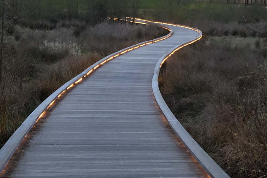 Curved Steel Boardwalk at Evelyn Schiffler Memorial Park